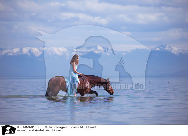 Frau und Andalusier / woman and Andalusian Horse / MAS-01360
