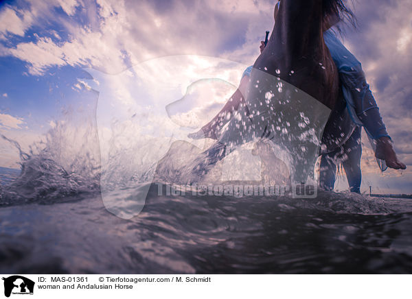 Frau und Andalusier / woman and Andalusian Horse / MAS-01361