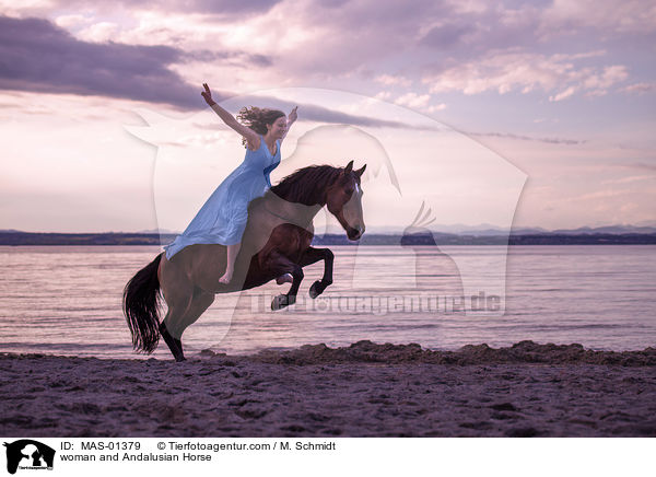 Frau und Andalusier / woman and Andalusian Horse / MAS-01379