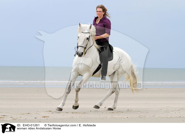 Frau reitet Andalusier / woman rides Andalusian Horse / EHO-01261