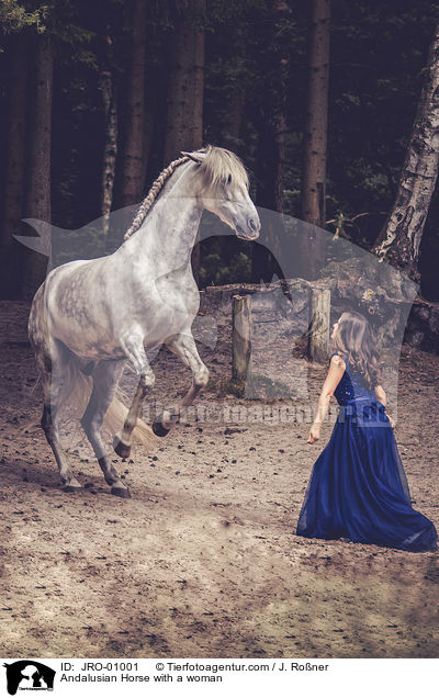 Andalusier mit Frau / Andalusian Horse with a woman / JRO-01001