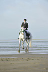 woman rides Andalusian horse