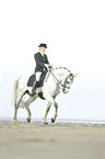 woman rides Andalusian horse