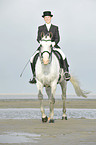 woman rides Andalusian horse