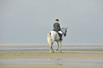 woman rides Andalusian horse