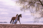 woman and Andalusian Horse