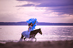 woman and Andalusian Horse