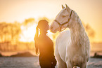 Cremello Andalusian horse