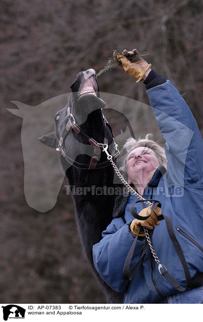 Frau und Appaloosa / woman and Appaloosa / AP-07383