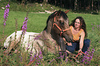 Appaloosa stallion