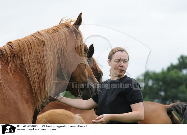 Frau und Araber / woman and arabian horses / AP-05693