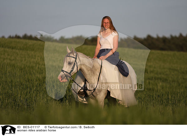 Frau reitet Araber / woman rides arabian horse / BES-01117