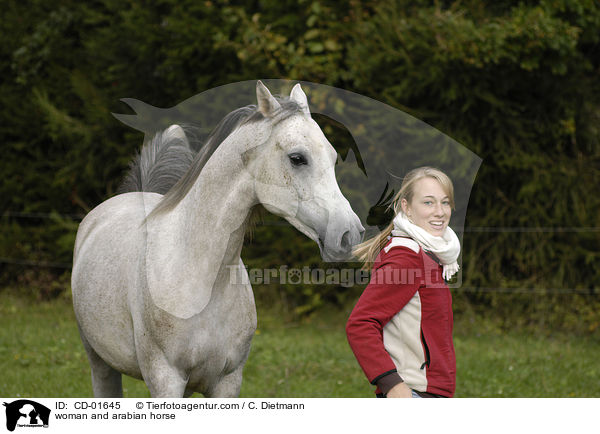 Frau und Araber / woman and arabian horse / CD-01645