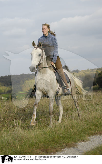 woman rides arabian horse / CD-01713