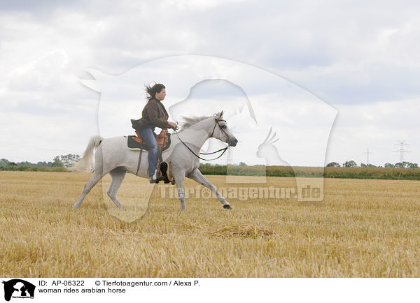 woman rides arabian horse / AP-06322