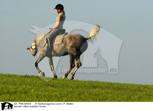 Frau reitet Araber / woman rides arabian horse / PM-04655
