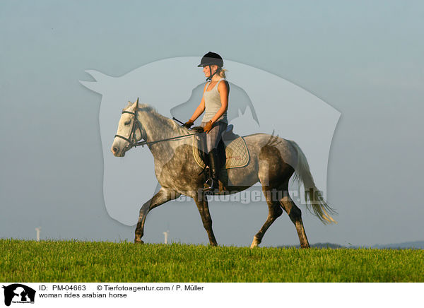 Frau reitet Araber / woman rides arabian horse / PM-04663