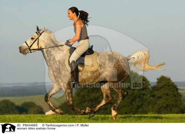 Frau reitet Araber / woman rides arabian horse / PM-04665