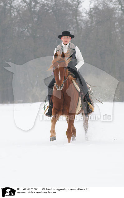 Frau reitet Araber / woman rides arabian horse / AP-07132