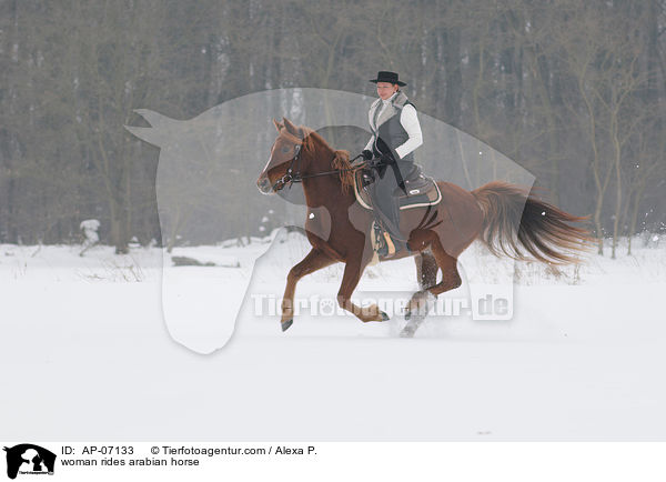 woman rides arabian horse / AP-07133