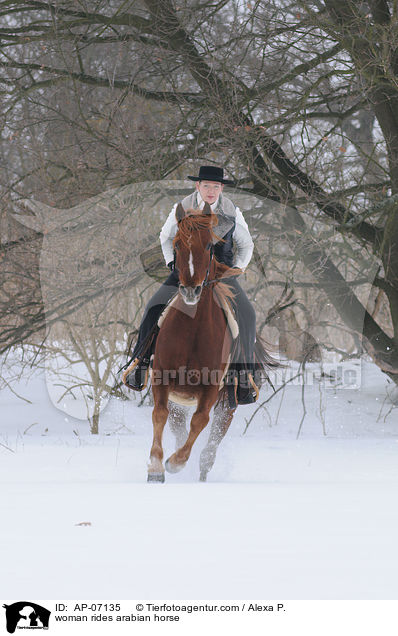 woman rides arabian horse / AP-07135