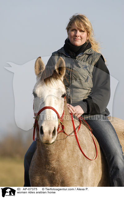 woman rides arabian horse / AP-07375