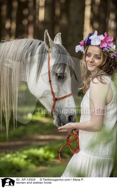woman and arabian horse / AP-13509
