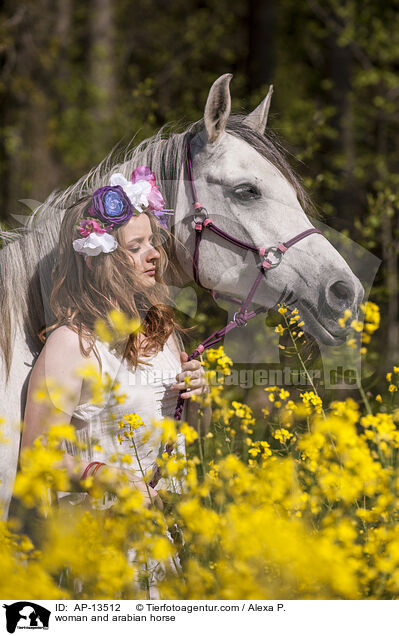 woman and arabian horse / AP-13512