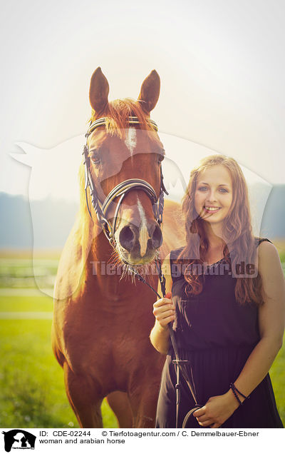 woman and arabian horse / CDE-02244