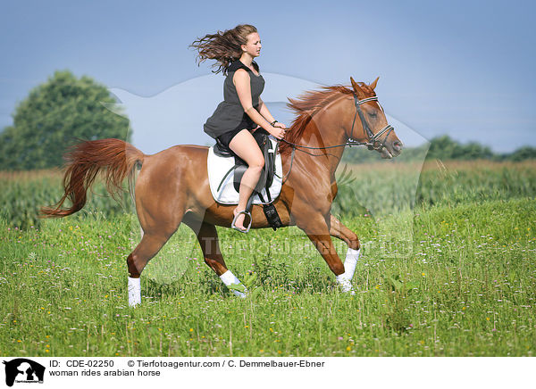 woman rides arabian horse / CDE-02250
