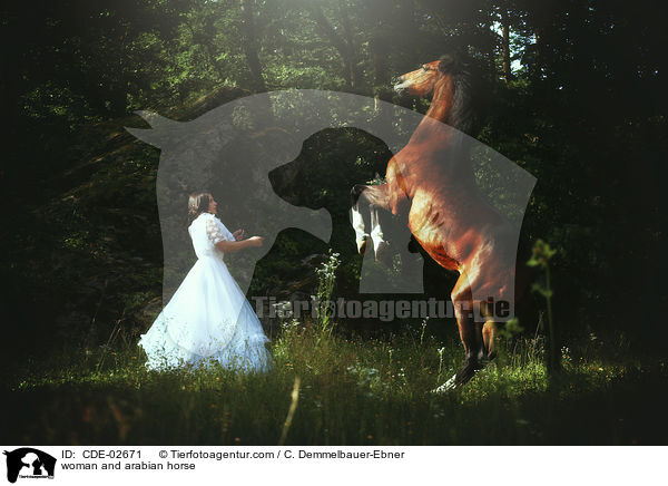 Frau und Araber / woman and arabian horse / CDE-02671