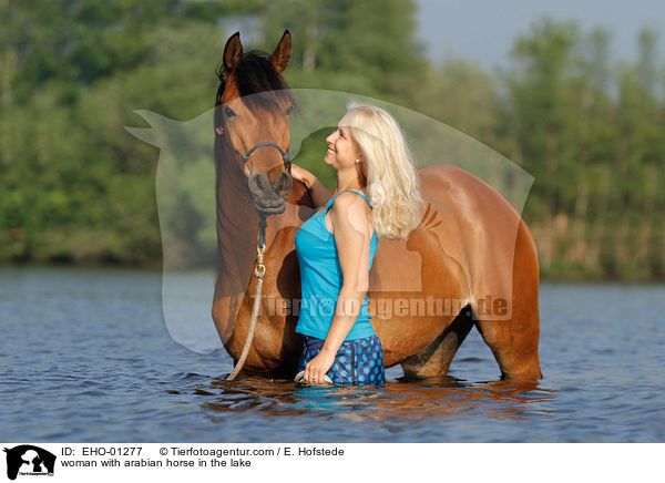 woman with arabian horse in the lake / EHO-01277