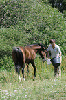 woman with arabian horse