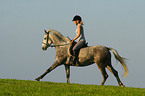 woman rides arabian horse