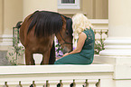 Arabian Horse with woman