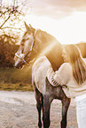 woman and arabian horse