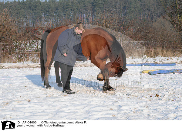 junge Frau mit Arabo-Haflinger / young woman with Arabo-Haflinger / AP-04600