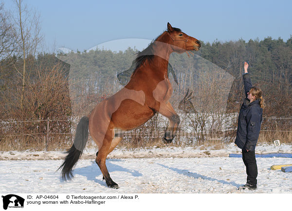 junge Frau mit Arabo-Haflinger / young woman with Arabo-Haflinger / AP-04604