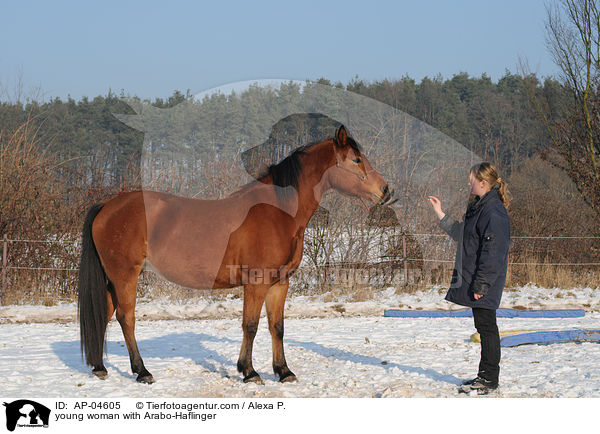young woman with Arabo-Haflinger / AP-04605