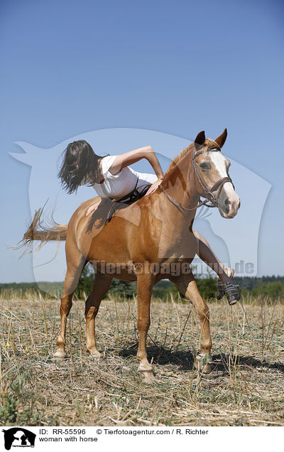 Frau mit Arabohaflinger / woman with horse / RR-55596