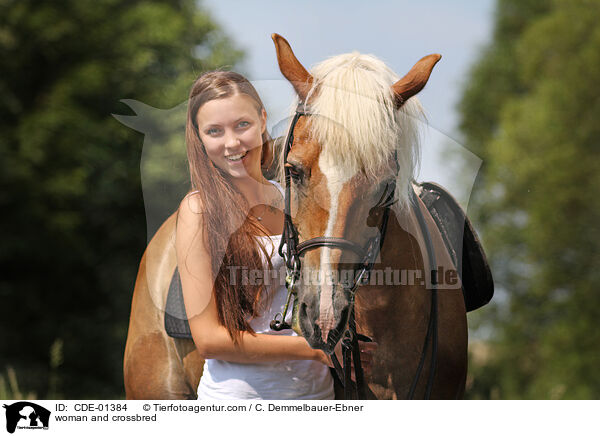Frau und Arabo-Haflinger / woman and crossbred / CDE-01384