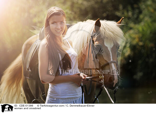 Frau und Arabo-Haflinger / woman and crossbred / CDE-01386