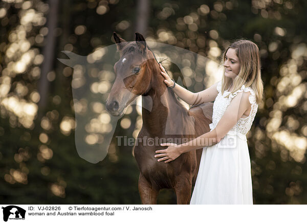 Frau und sterreichisches Warmblut Fohlen / woman and Austrian warmblood foal / VJ-02826