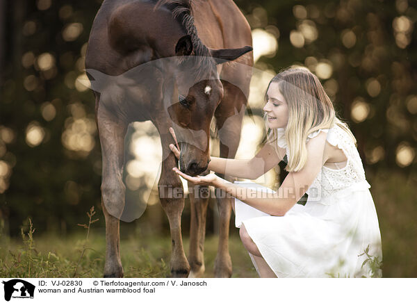 Frau und sterreichisches Warmblut Fohlen / woman and Austrian warmblood foal / VJ-02830