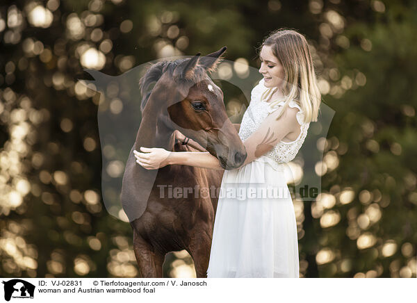 Frau und sterreichisches Warmblut Fohlen / woman and Austrian warmblood foal / VJ-02831