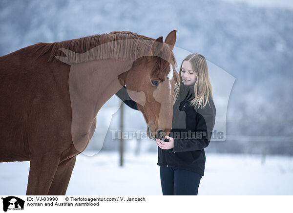 Frau und sterreichisches Warmblut / woman and Austrian warmblood / VJ-03990