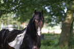 Baroque Pinto Portrait