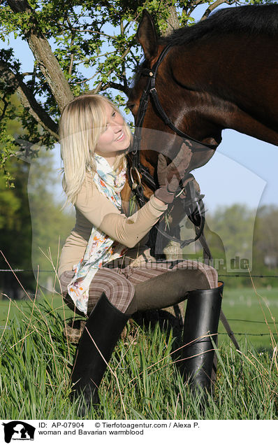 Frau mit Bayerischem Warmblut / woman and Bavarian warmblood / AP-07904