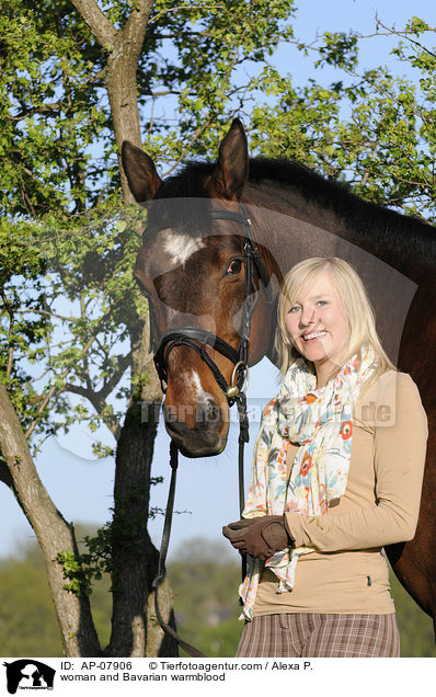 Frau mit Bayerischem Warmblut / woman and Bavarian warmblood / AP-07906