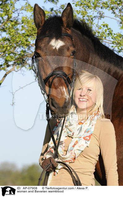 Frau mit Bayerischem Warmblut / woman and Bavarian warmblood / AP-07908